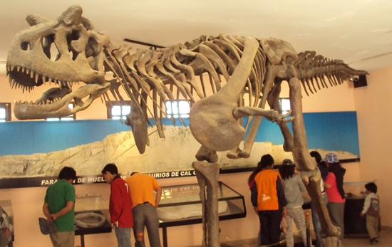 Inside the Museum at Dinosaur Park