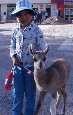 Why I Love Photographing People. Shy Girl With Baby Llama in Chivay, Peru