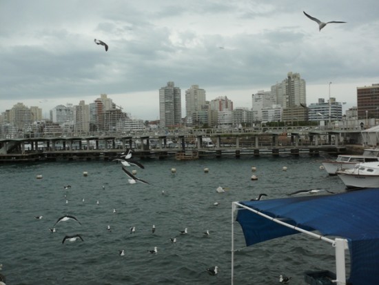 Fish Market in Punta del Este, Uruguay. Looking Out to Punta del Este Downtown from the Fish Market