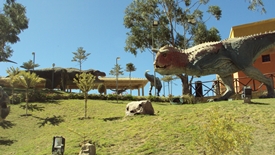 Walk in a Dinosaur's Footprints in Sucre, Bolivia