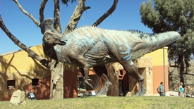 Walk in a Dinosaur's Footprints in Sucre, Bolivia